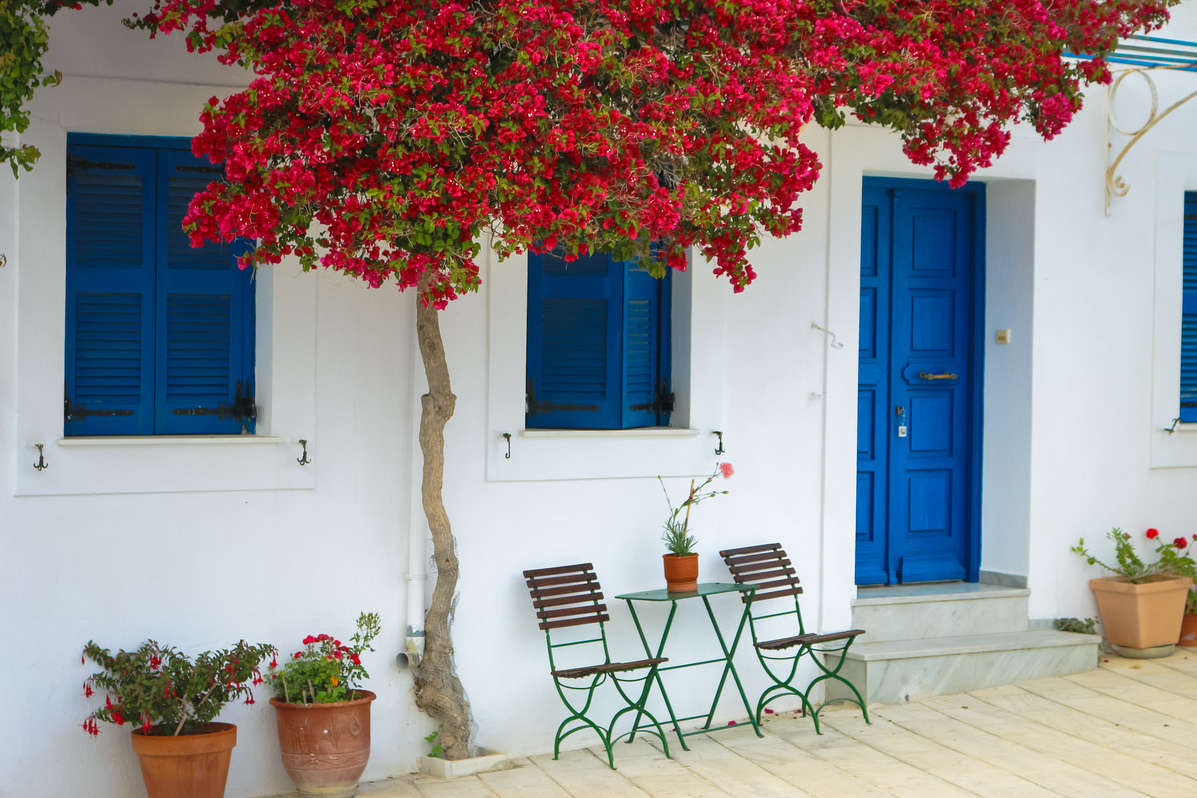 цветы в греческом доме